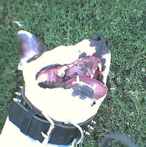 photo004.jpg