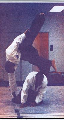 aikido.jpg