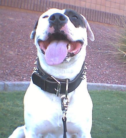 photo011.jpg